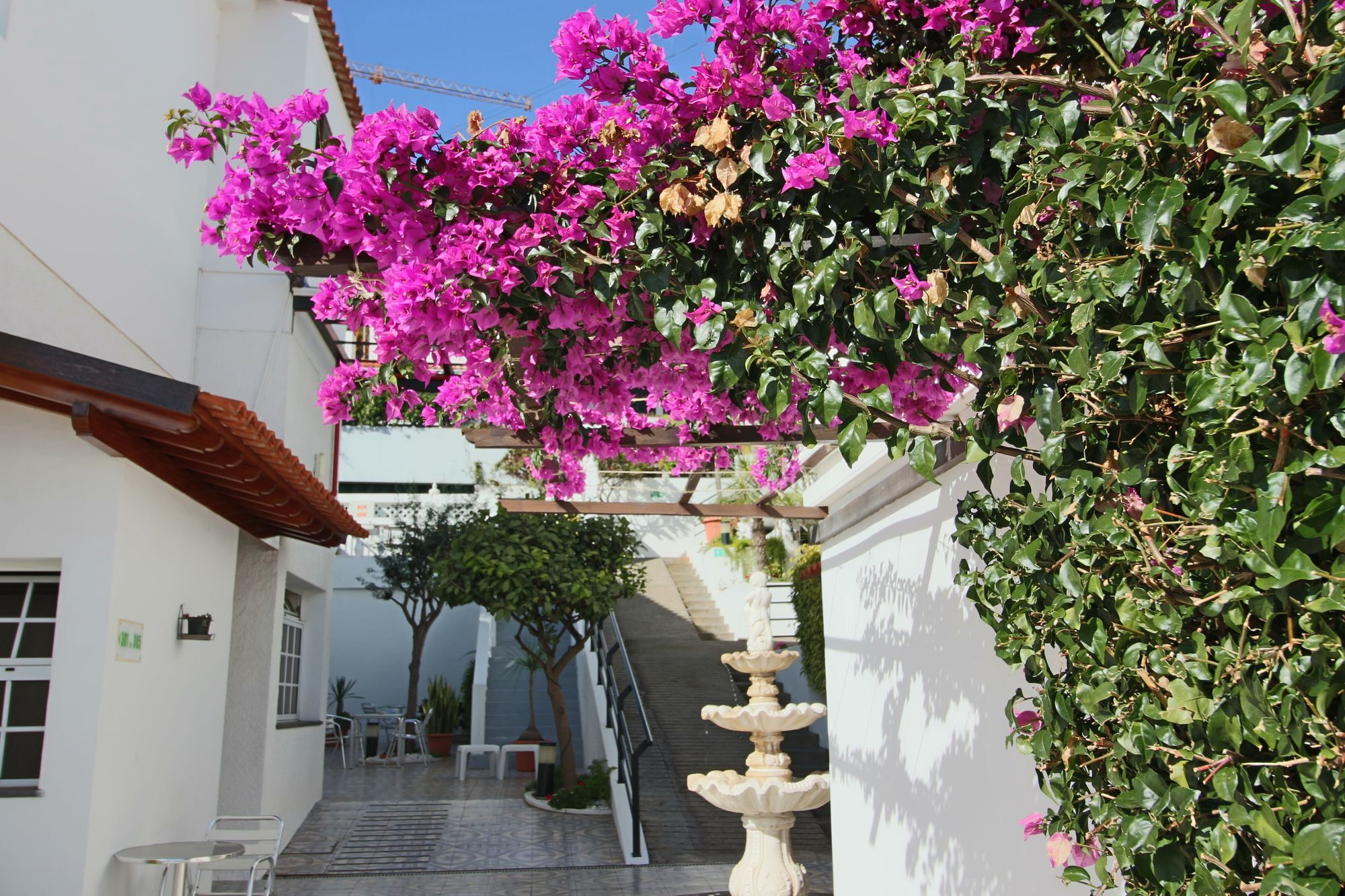 Guesthouse Vila Lusitania Funchal  Exterior foto